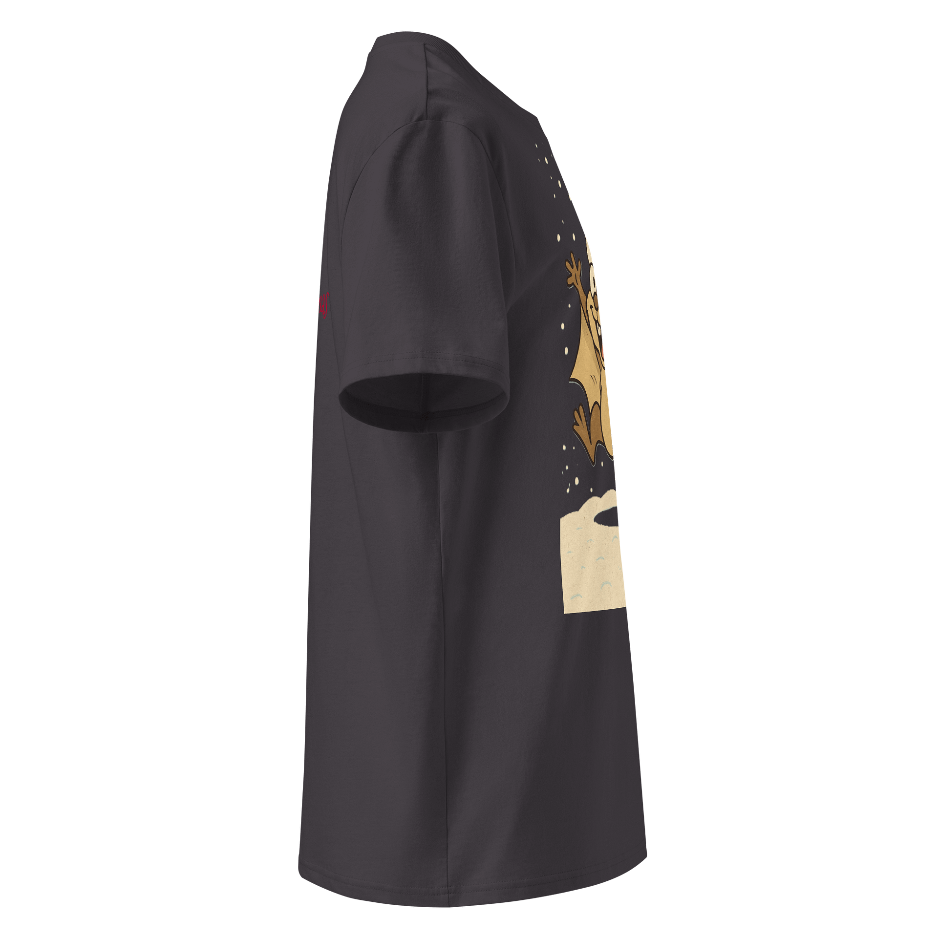 Whimsical squirrel Graphic Organic Tee product image (3)