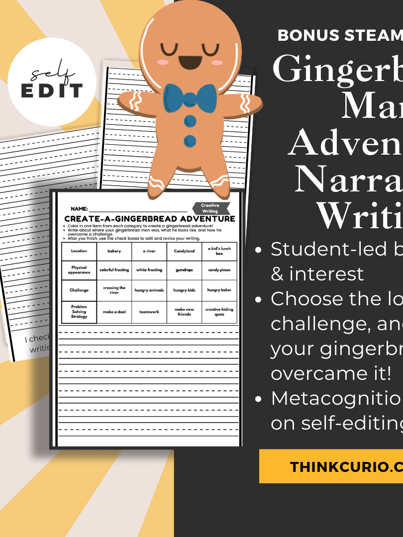 Winter Writing Editing Sub Plan 2nd 3rd 4th 5th Grade Snow Day, Olympics, Christmas, Gingerbread, and Vacation! product image (5)