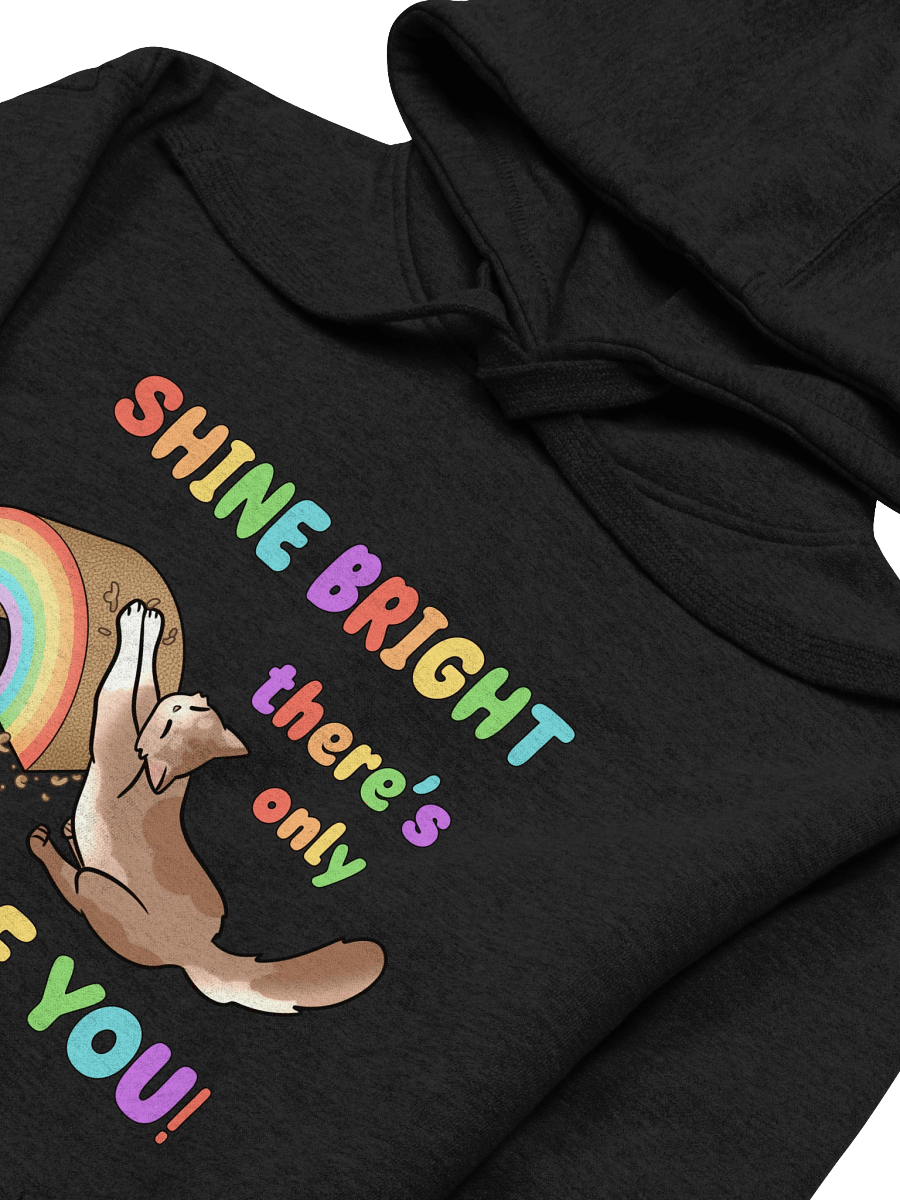 Shine Bright Pride Hoodie product image (35)