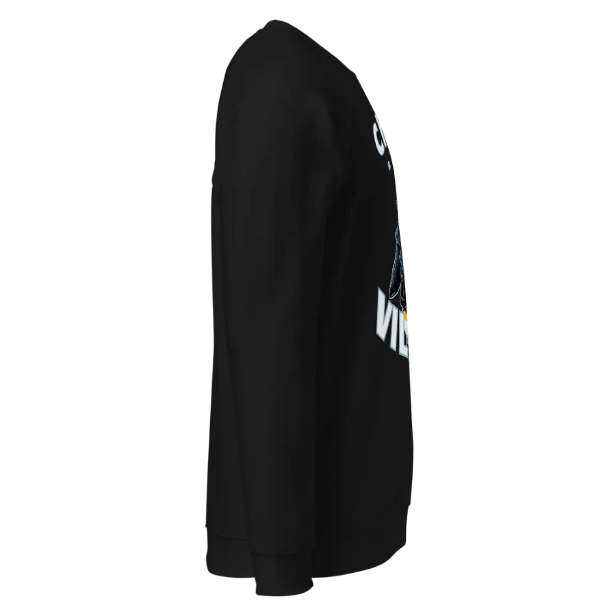 Chillin' Like a Villain Penguin Raglan Sweatshirt product image (6)