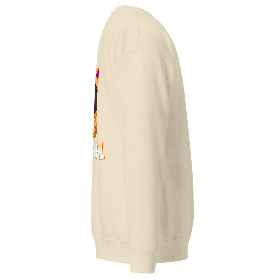 WHATAPAL White Front Embroidered Sweatshirt product image (16)