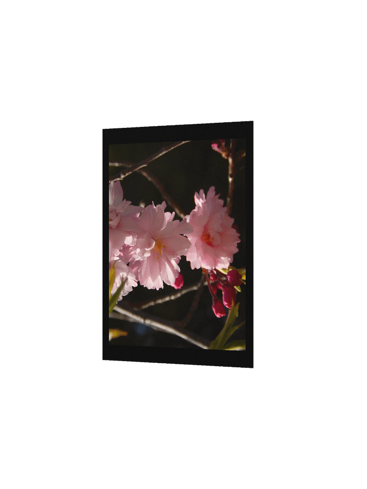 Pink Flowers product image (2)