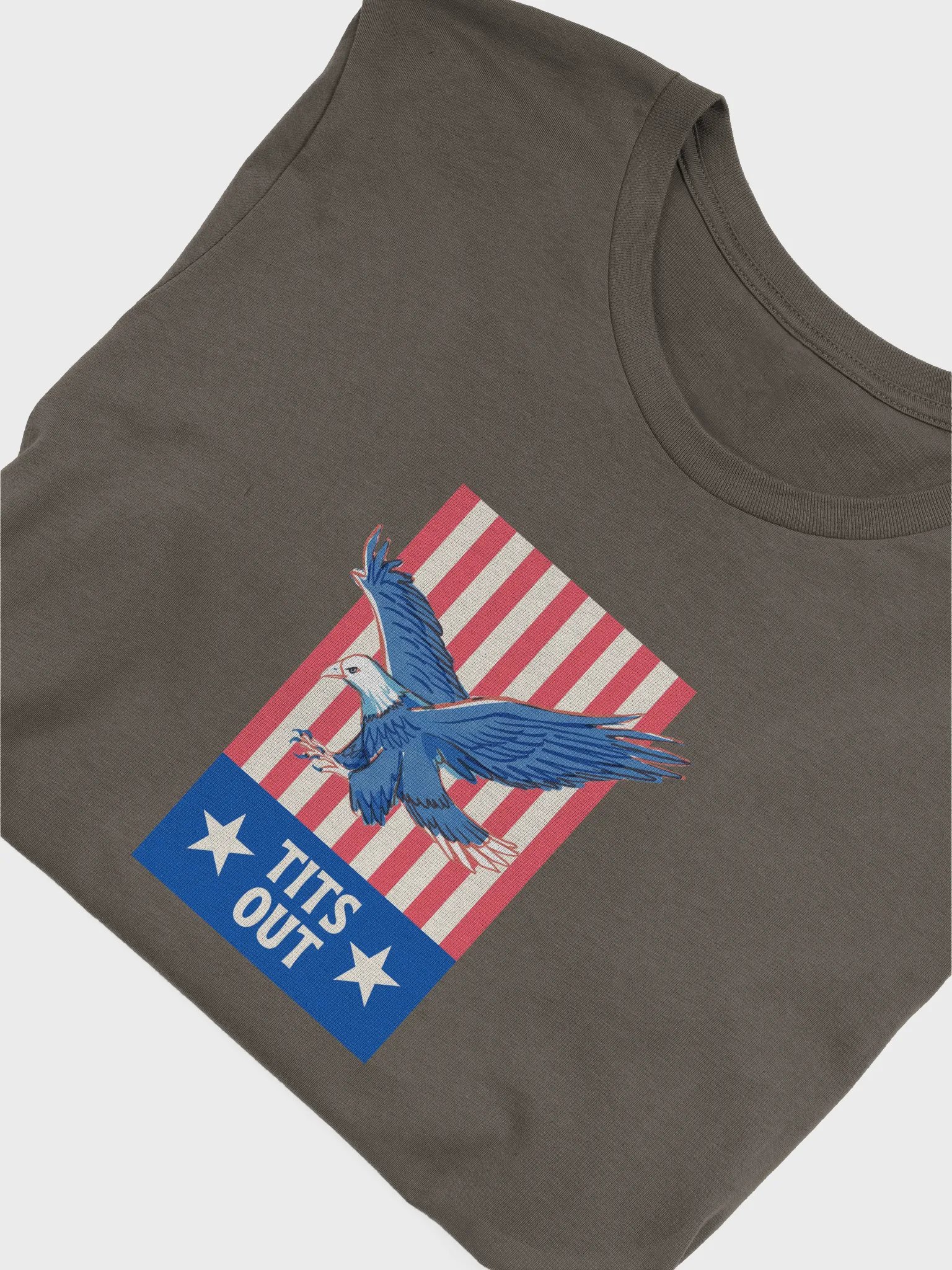 Tits Out Tee product image (65)