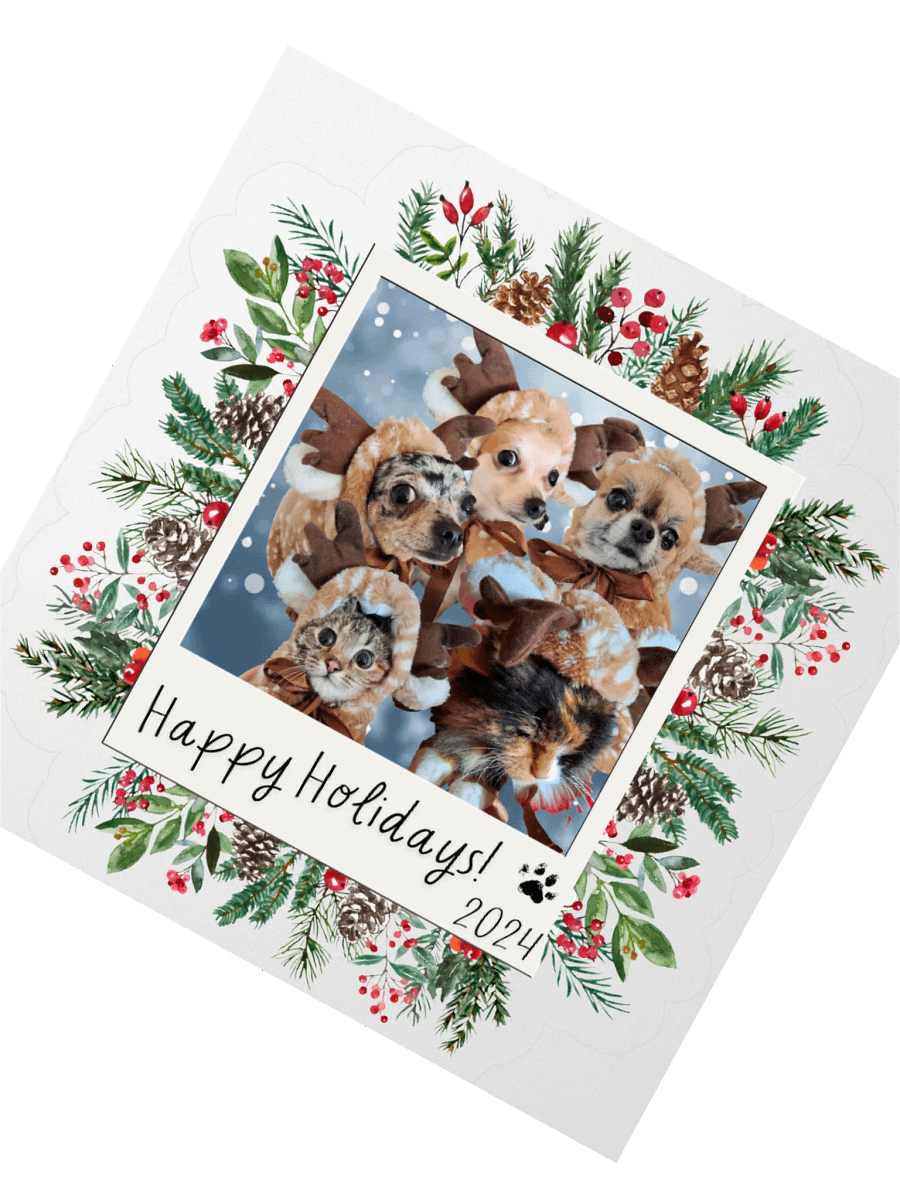 LIMITED EDITION Sticker - Paws [Holidays 2024] product image (2)