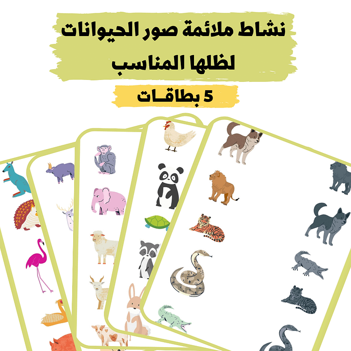 نشاط ملائمة صور الحيوانات للظل المناسب - pdf product image (2)