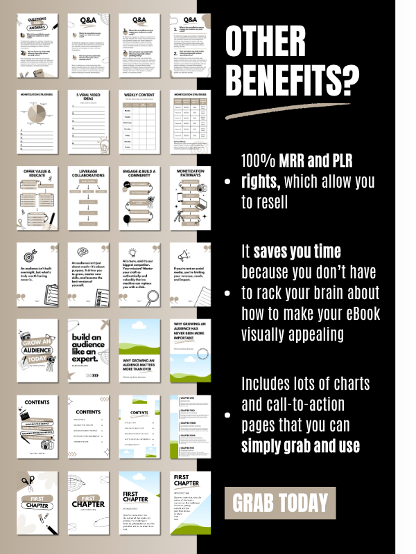 MRR/PLR Editable eBook Template in Canva product image (4)