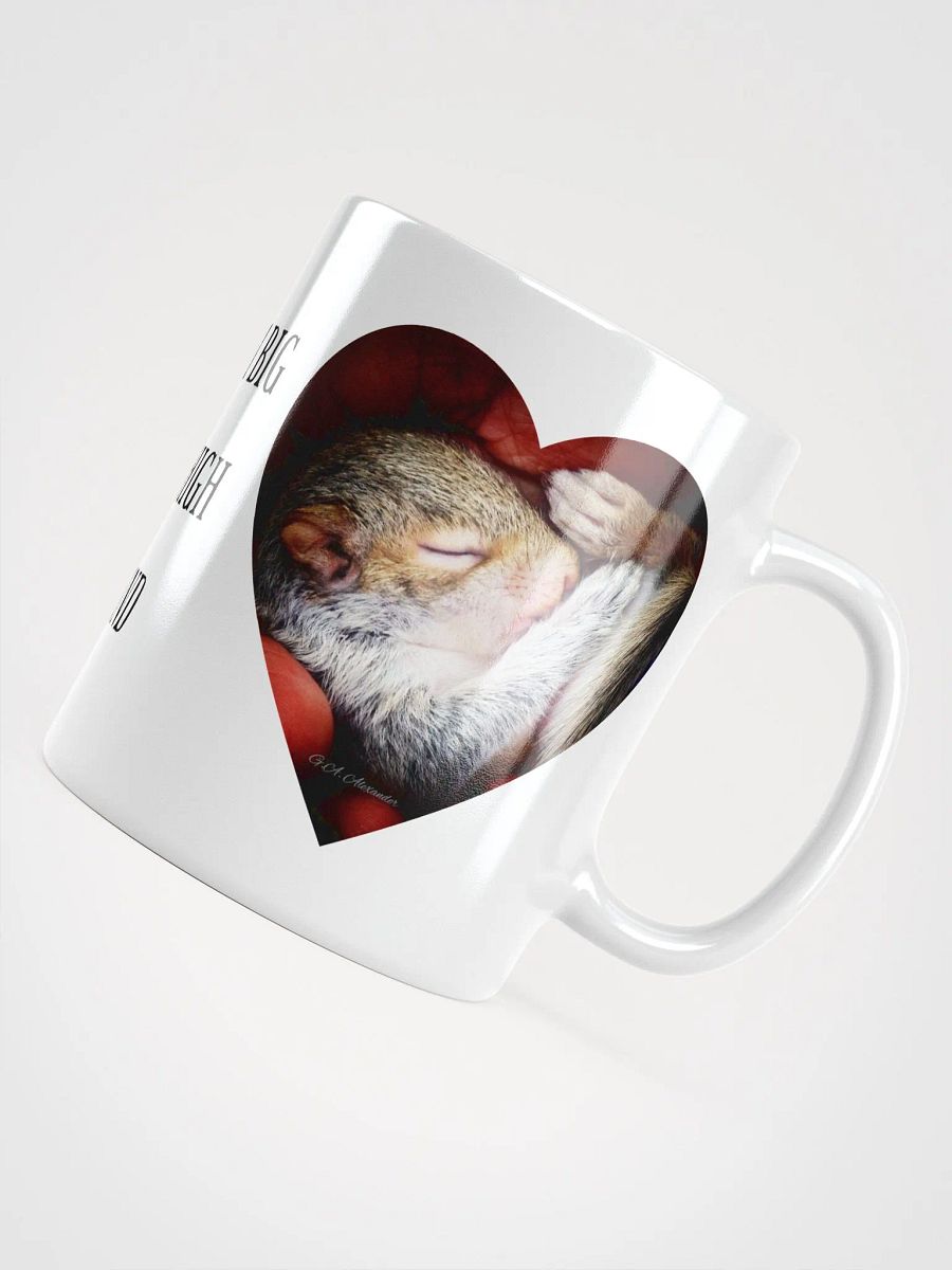 Baby Squirrel Wildlife Photography Mug product image (8)