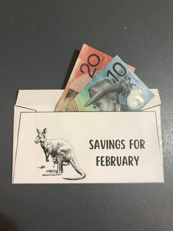 Australian Wildlife Cash Envelope System with Monthly $500 Savings Tracker – Set of 12 product image (4)