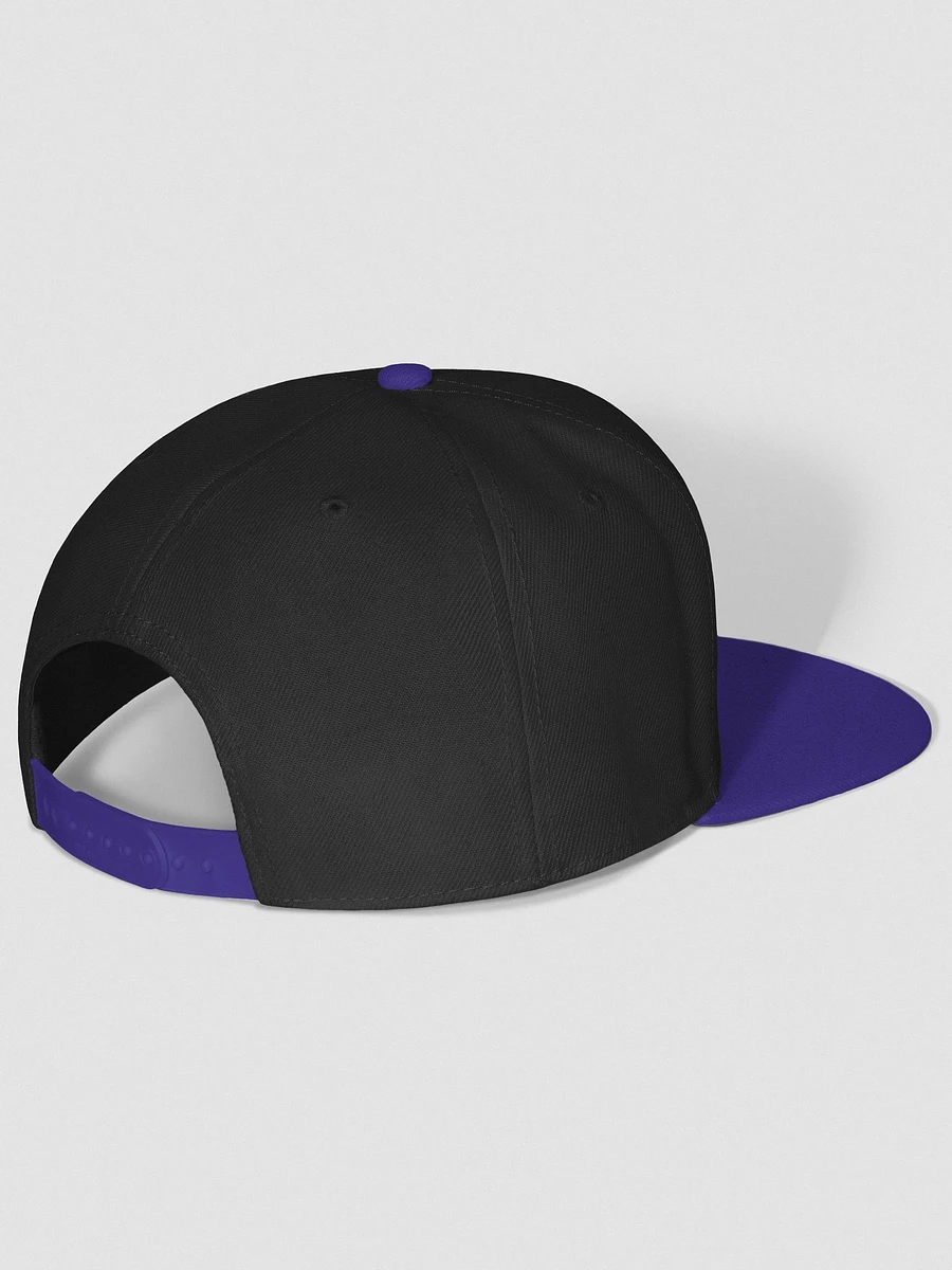 Dr. Plague, PHD Cap - Black & Purple product image (3)