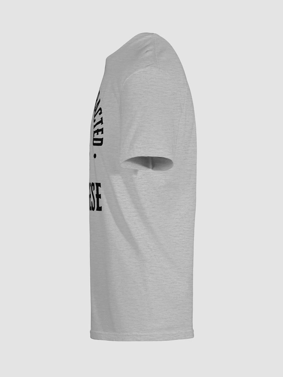 Pekingese Unisex T-Shirt product image (22)