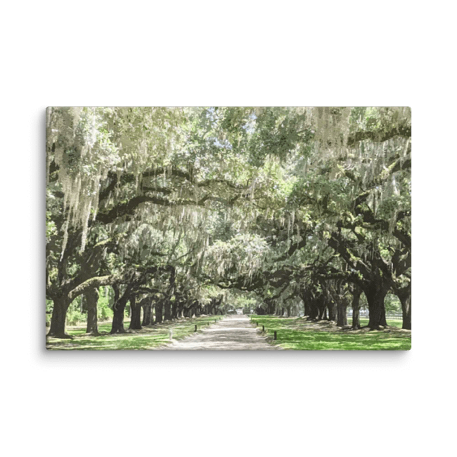 Canvas Prints