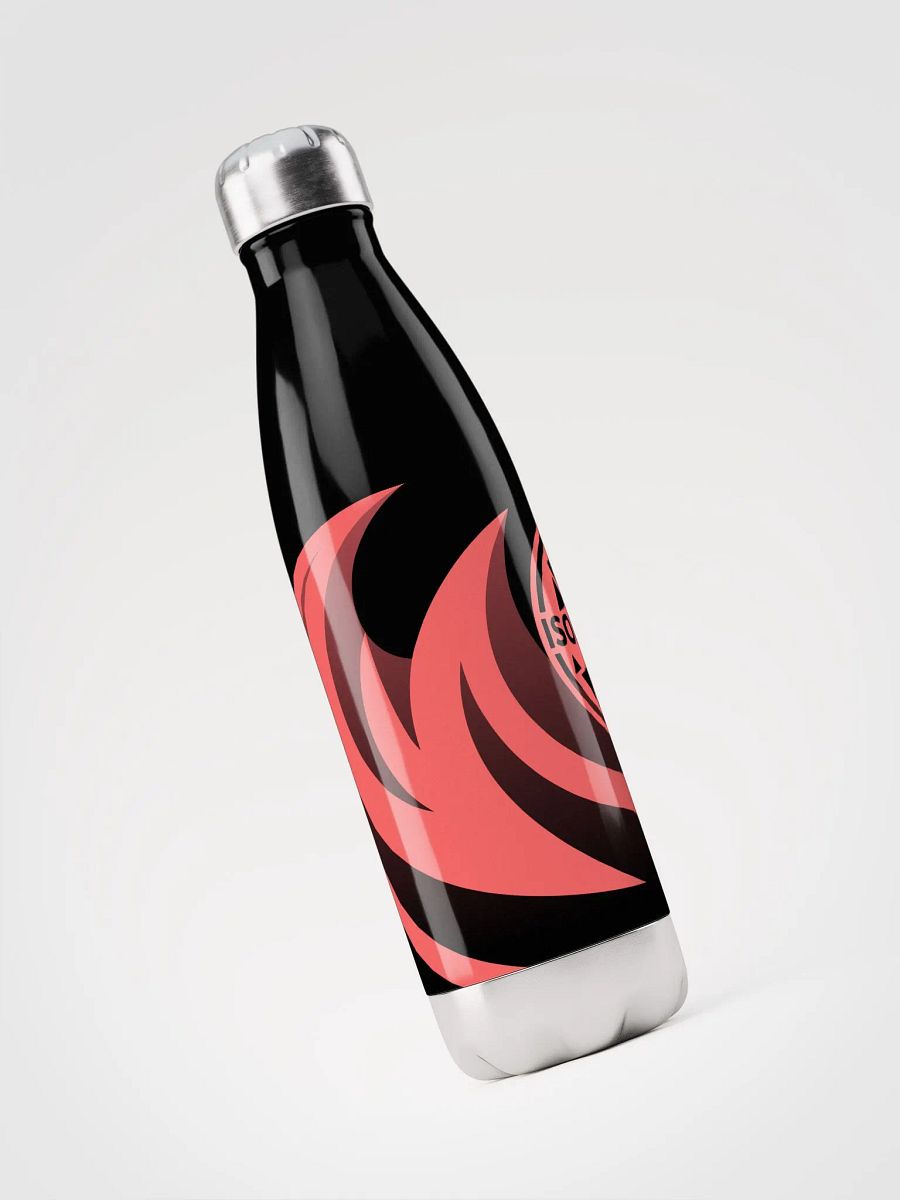 ISOLATION — 2019 LOGO — STAINLESS STEEL BOTTLE — RED product image (4)