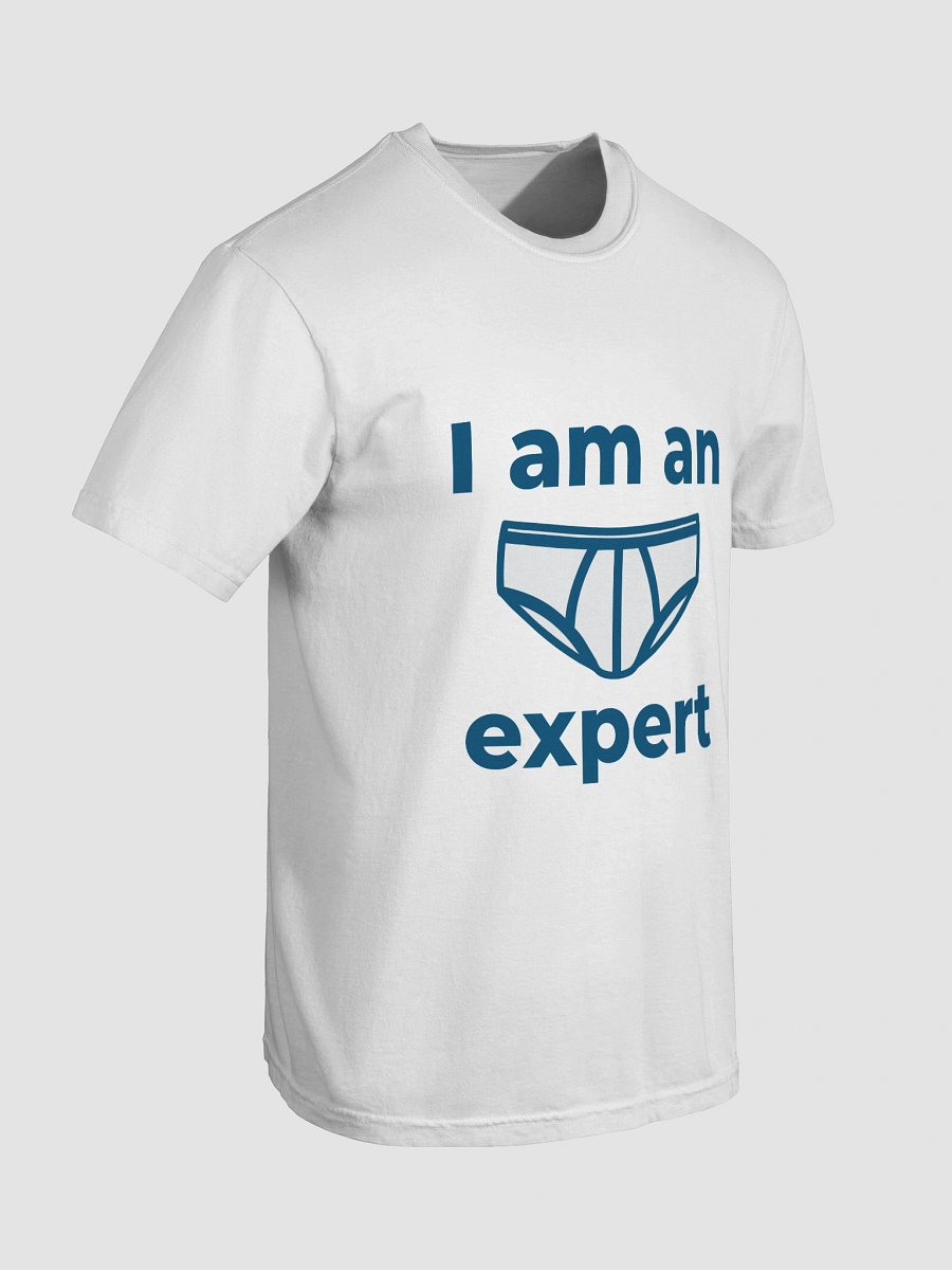 I Am An Expert T-Shirt product image (13)
