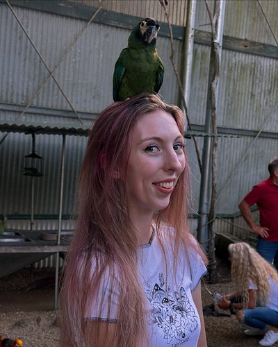this just in, local streamer girl is obsessed with birds 🦜

okay but really… i love birds so much 😭 taking my mom to see them...