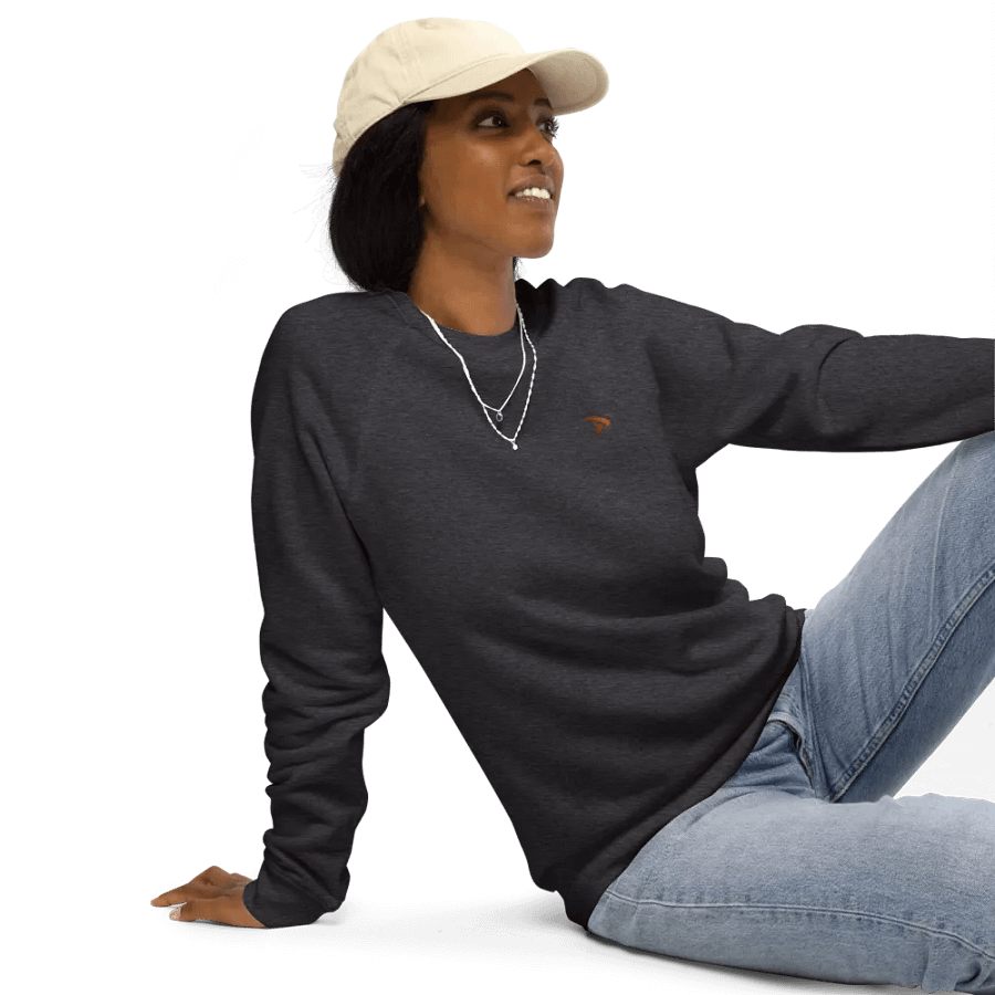 Control What You Can Control Sweatshirt- #BeFAST product image (10)