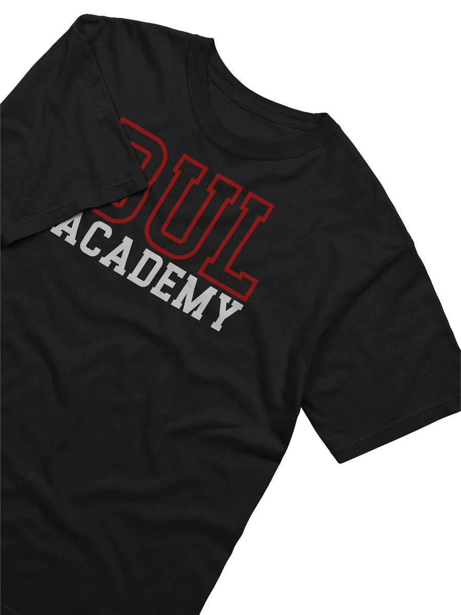 Bul Academy | Comfort Colors Garment-Dyed Heavyweight T-Shirt product image (32)