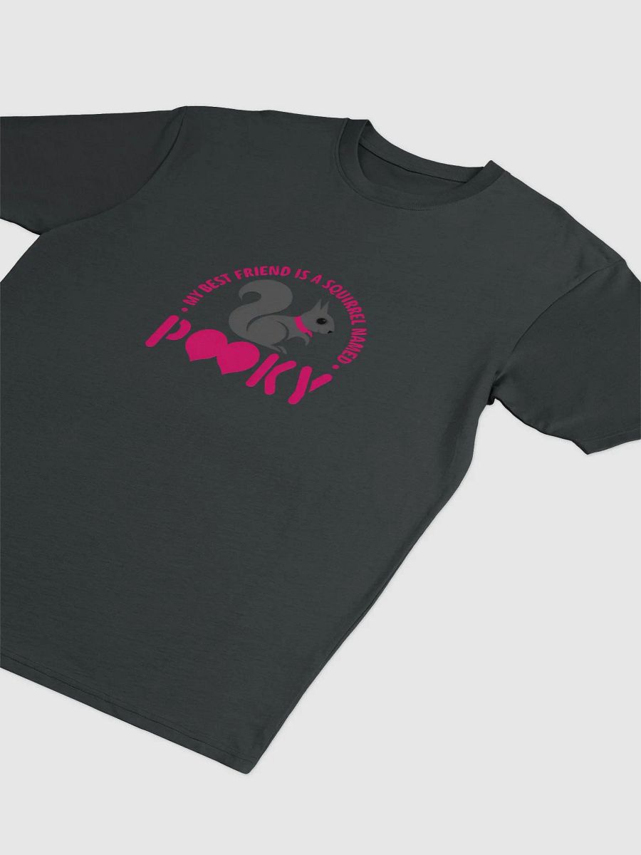 Super Comfy Tee: My Best Friend is a Squirrel Named Pooky product image (3)