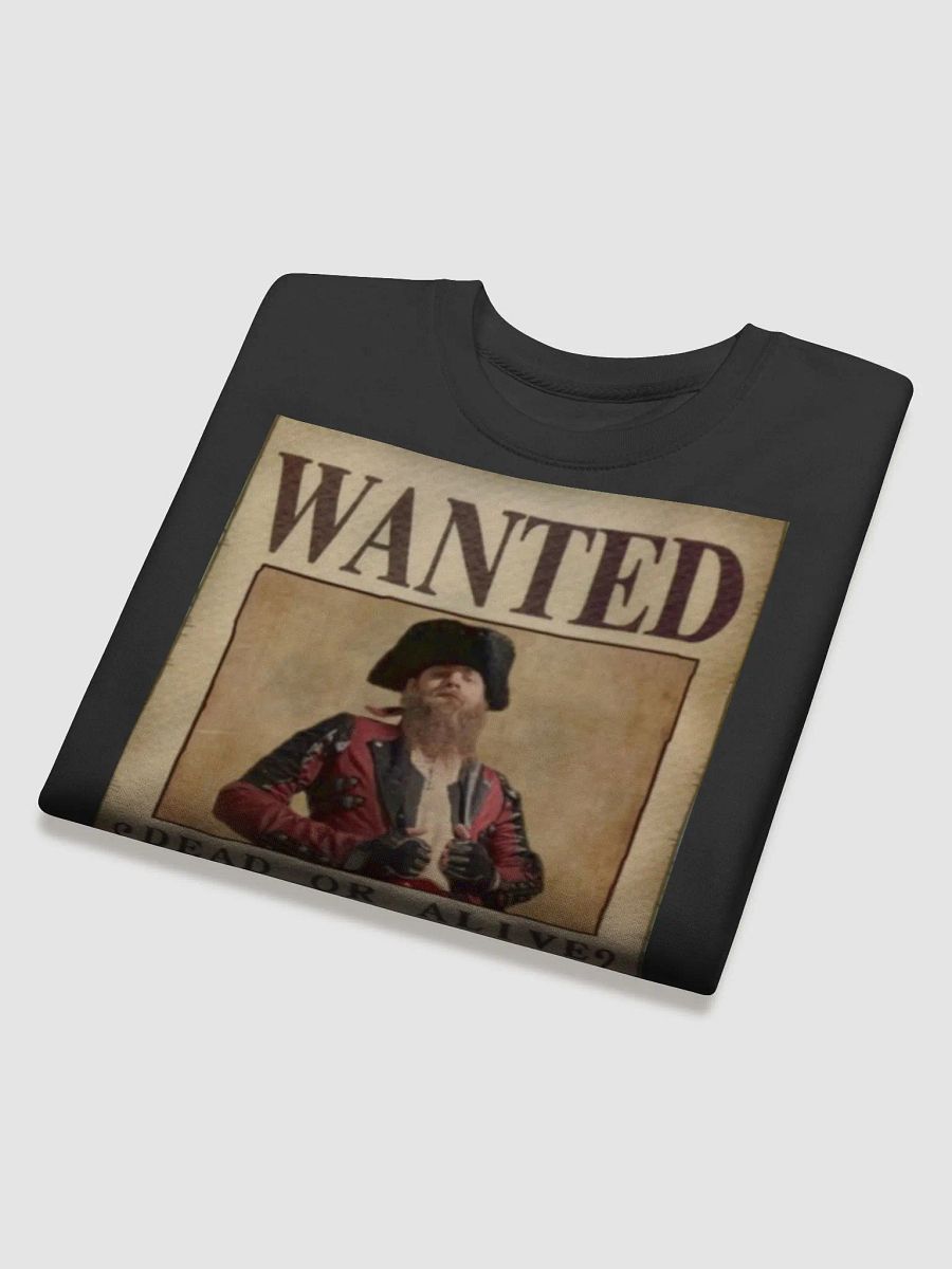 wanter poster sweater product image (4)