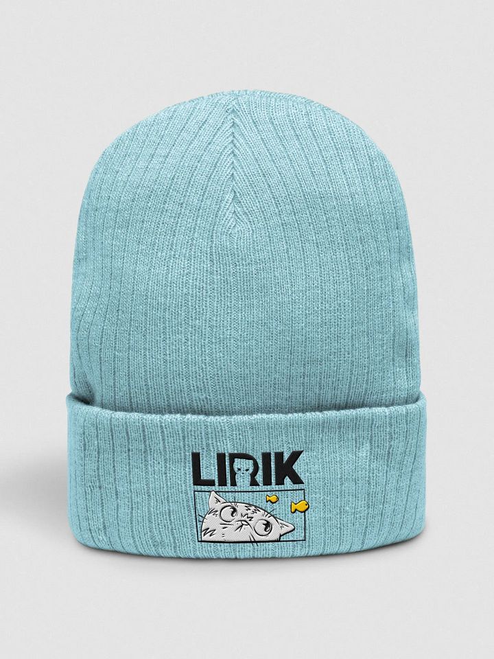 Fish Bowl Beanie product image (1)
