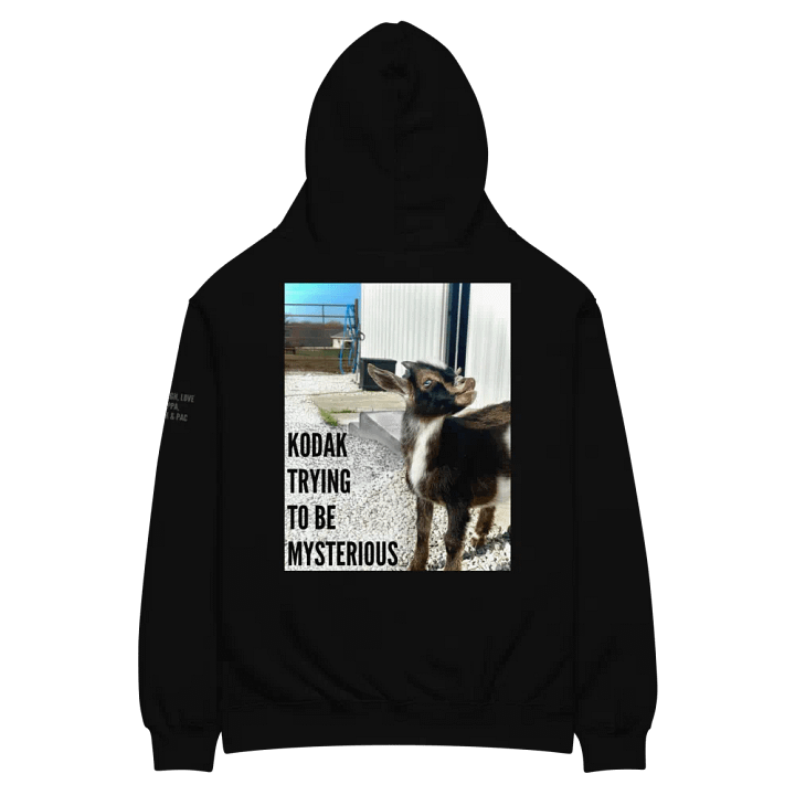 Over Sized Hoodie ft. Kodak product image (1)