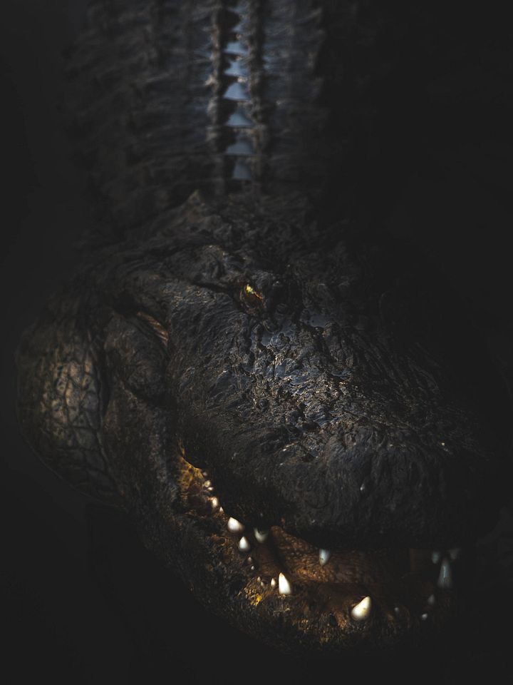 BlackWater product image (1)