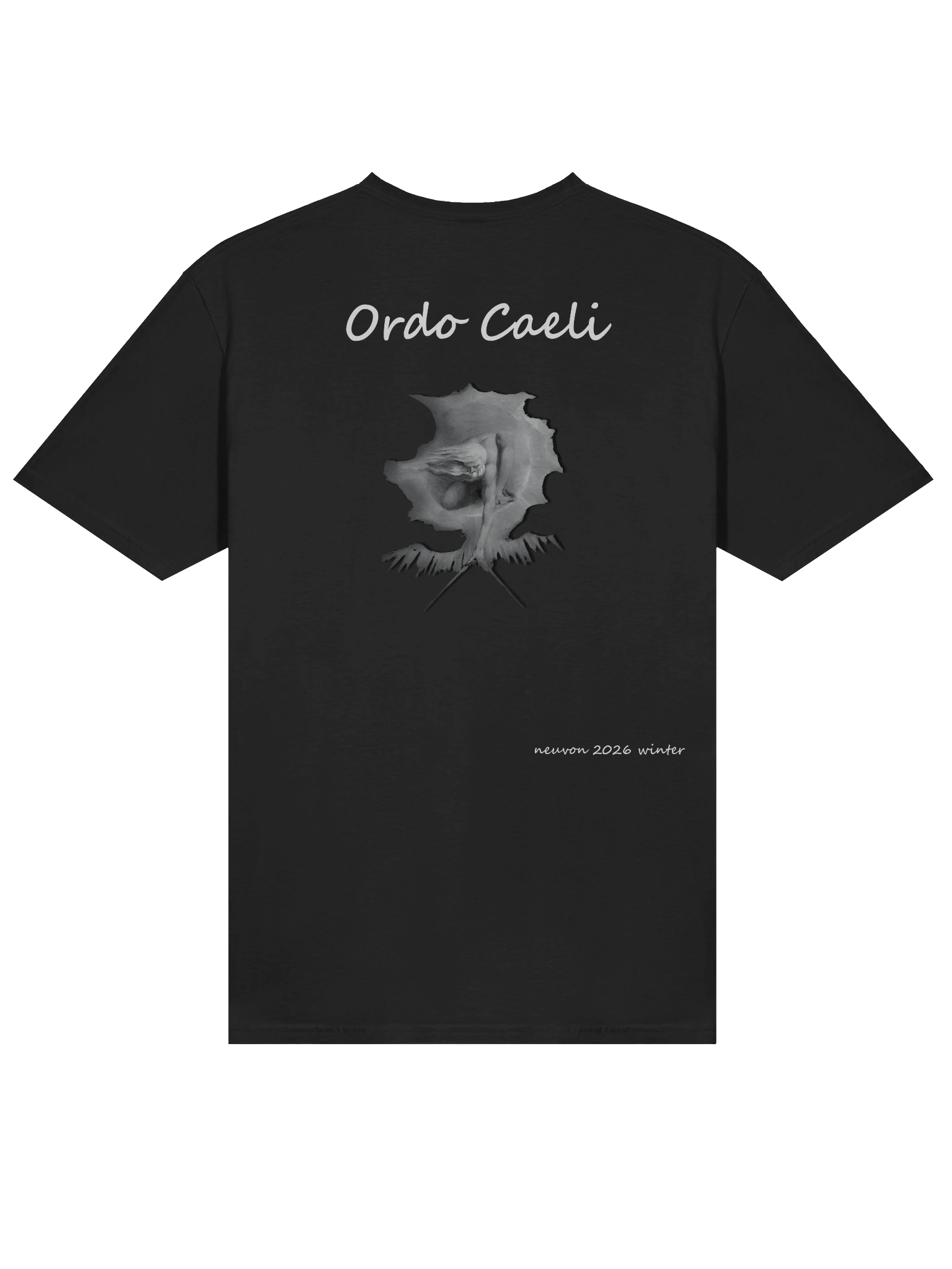 Ordo Caeli Softstyle T-Shirt - Winter 2026 product image (4)