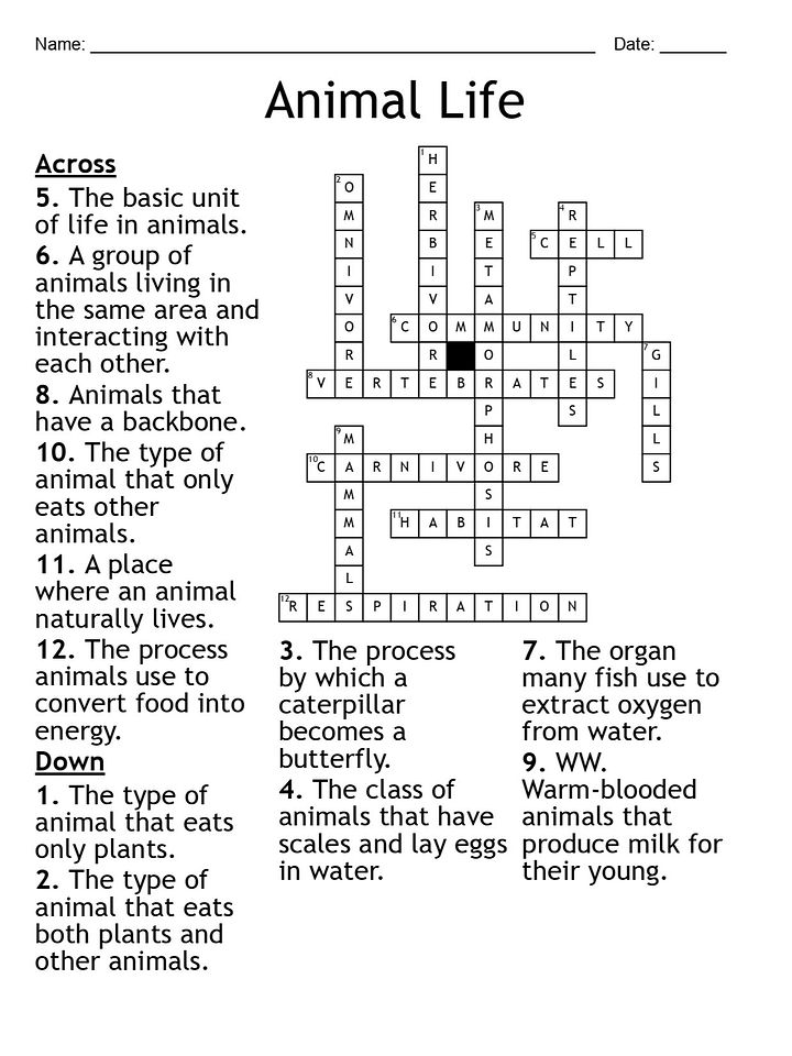 Printable Animal Life Crossword Puzzle product image (2)