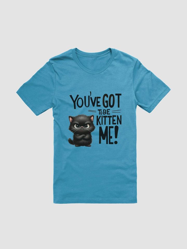 You’ve Got to Be Kitten Me - Sassy Black Cat T-Shirt product image (1)
