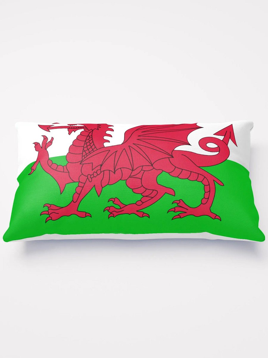 Welsh Flag Cushion product image (3)