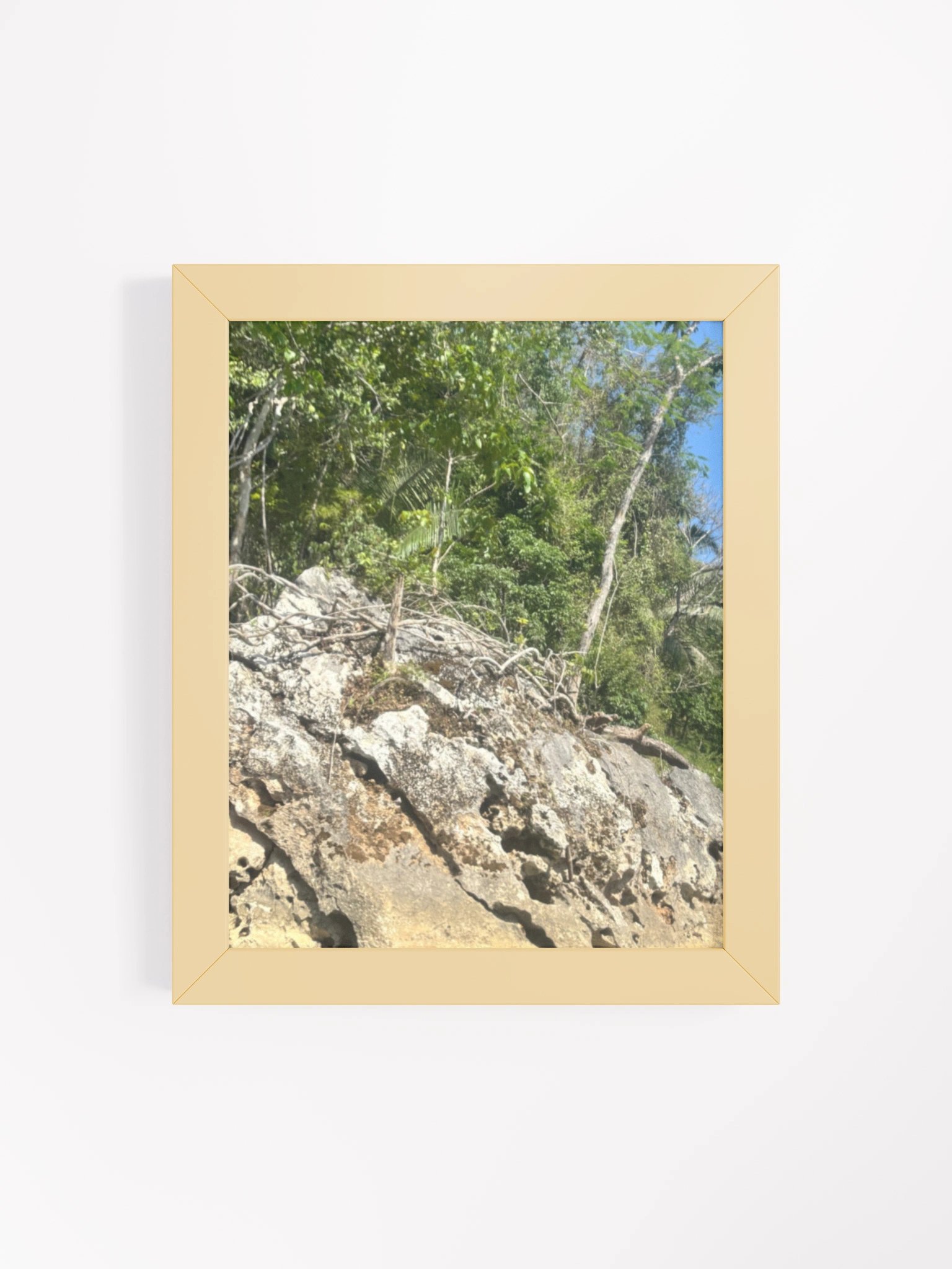 Vibrant Ayous Wood Framed Matte Poster product image (62)