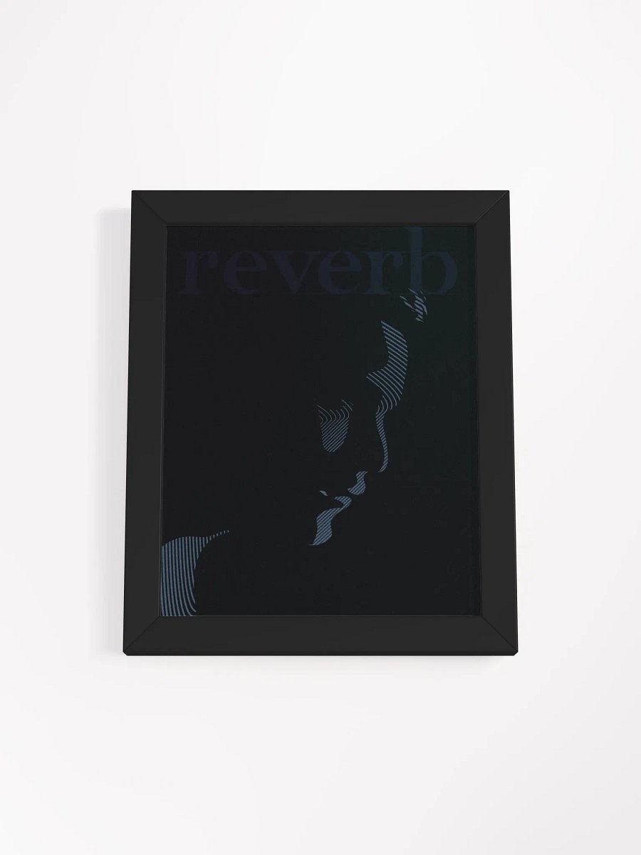 reverb product image (4)
