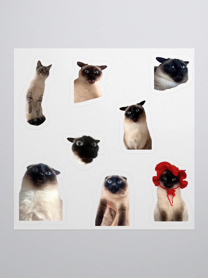 Silly Photo Kiss Cut Sticker Sheet product image (1)