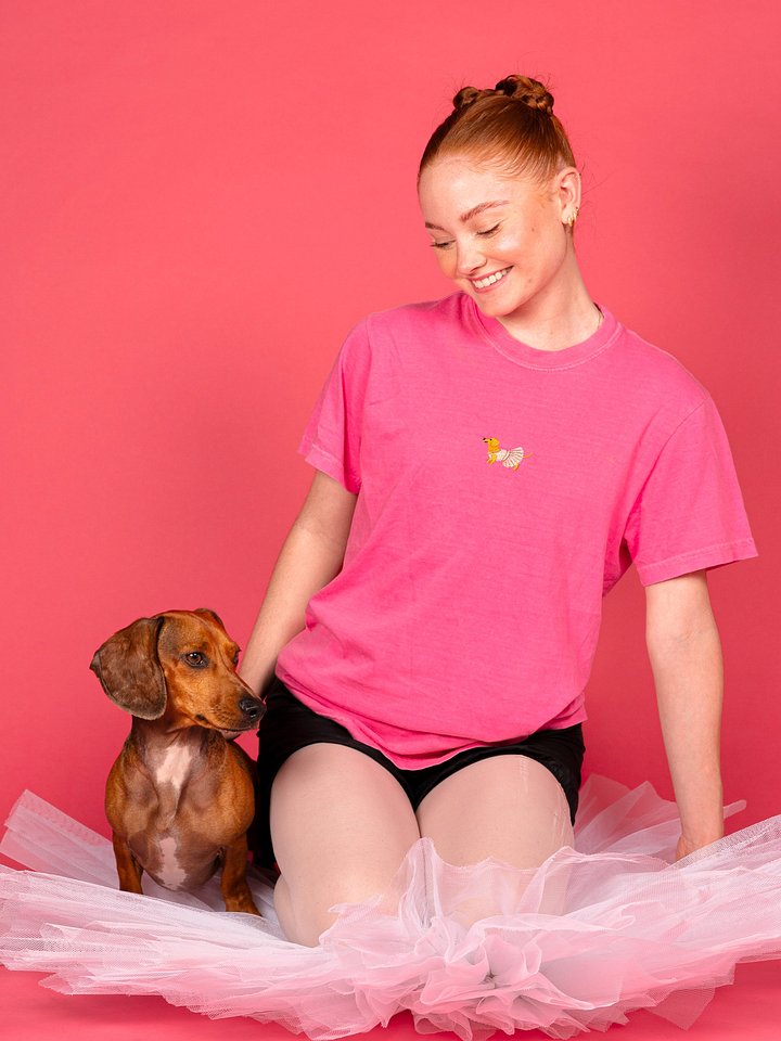 Doxie Embroidered T-Shirt product image (1)