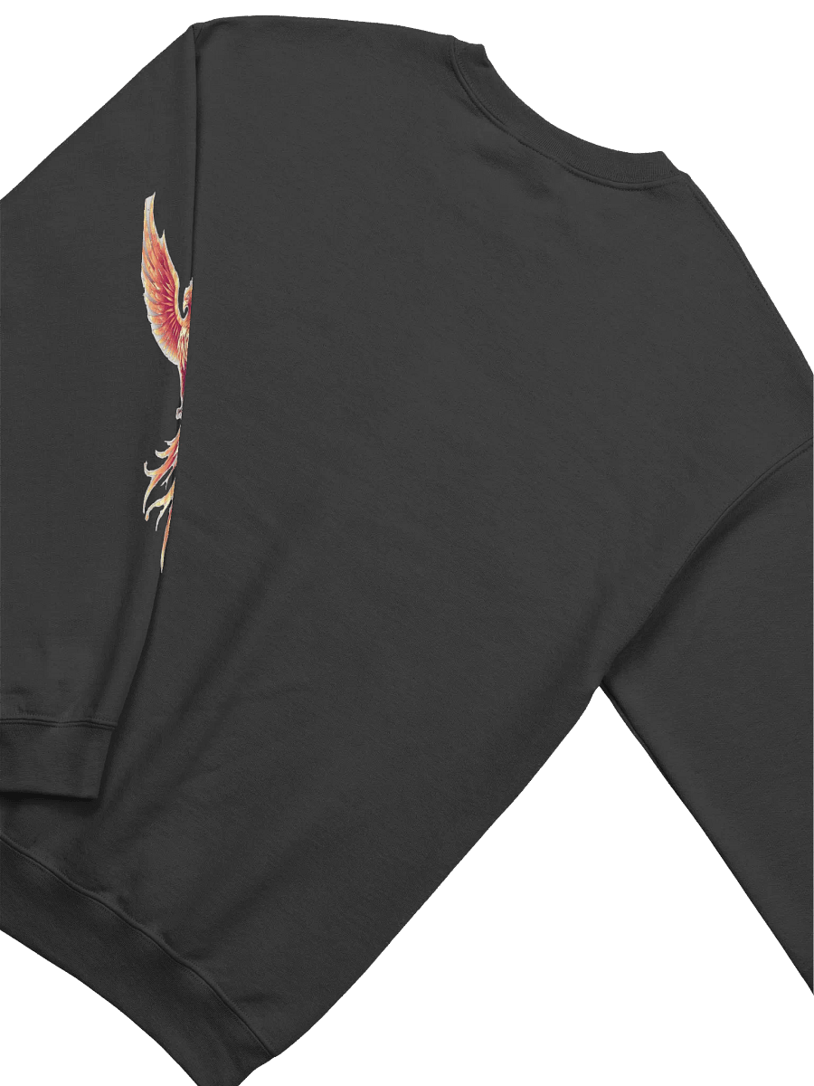 Dragon/Phoenix sweater product image (38)