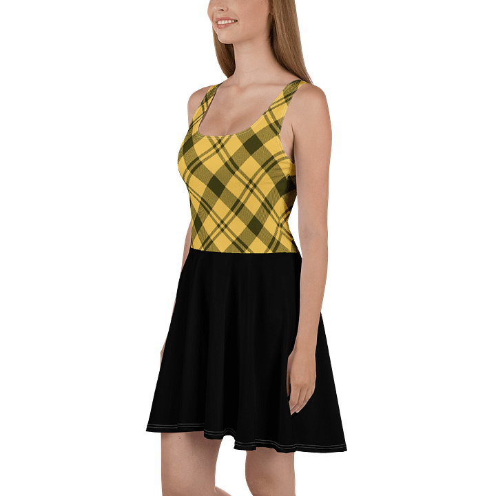 Zabu Plaid Paradise Sleeveless Skater Dress product image (1)