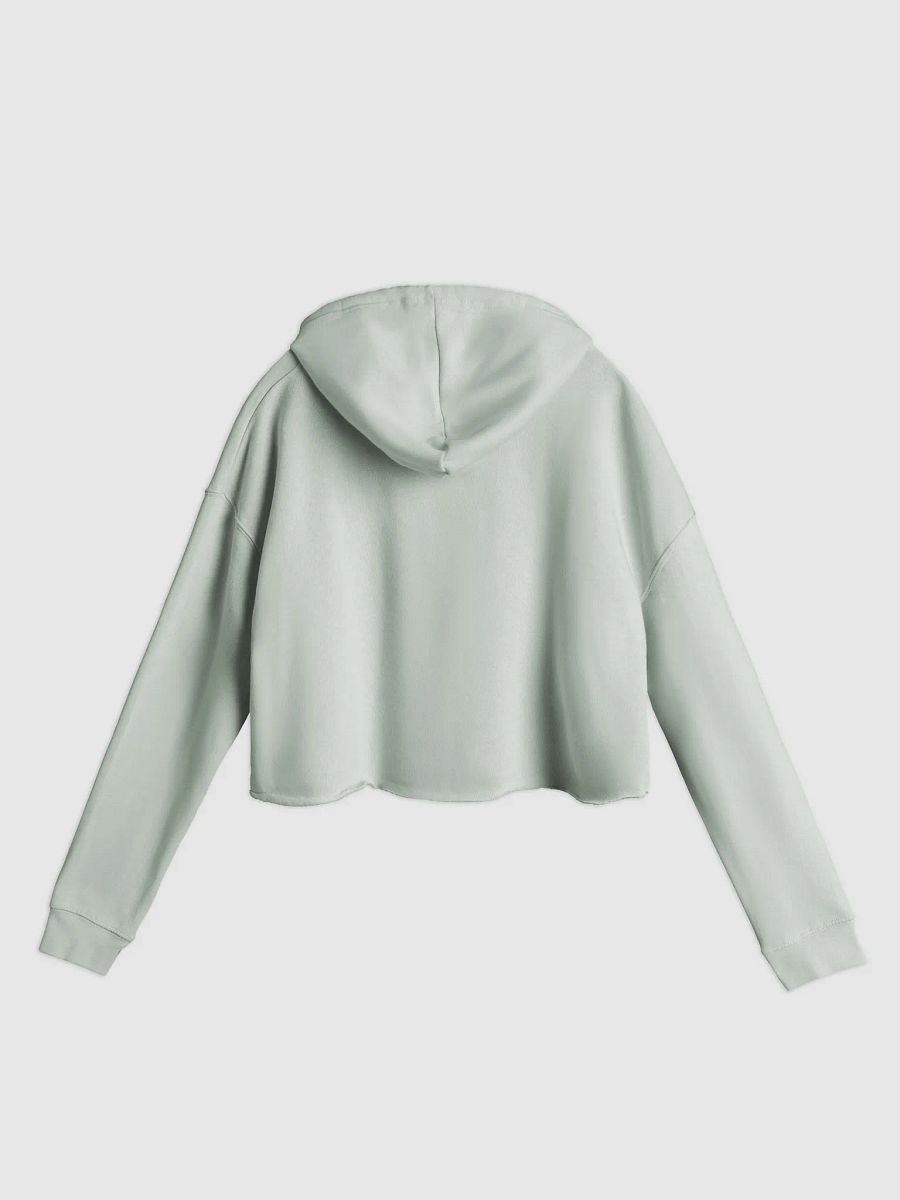 WDYM Speech Women's Crop Hoodie product image (3)