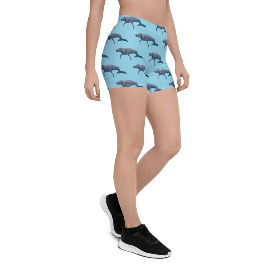 Whalemeriner Shorts product image (6)