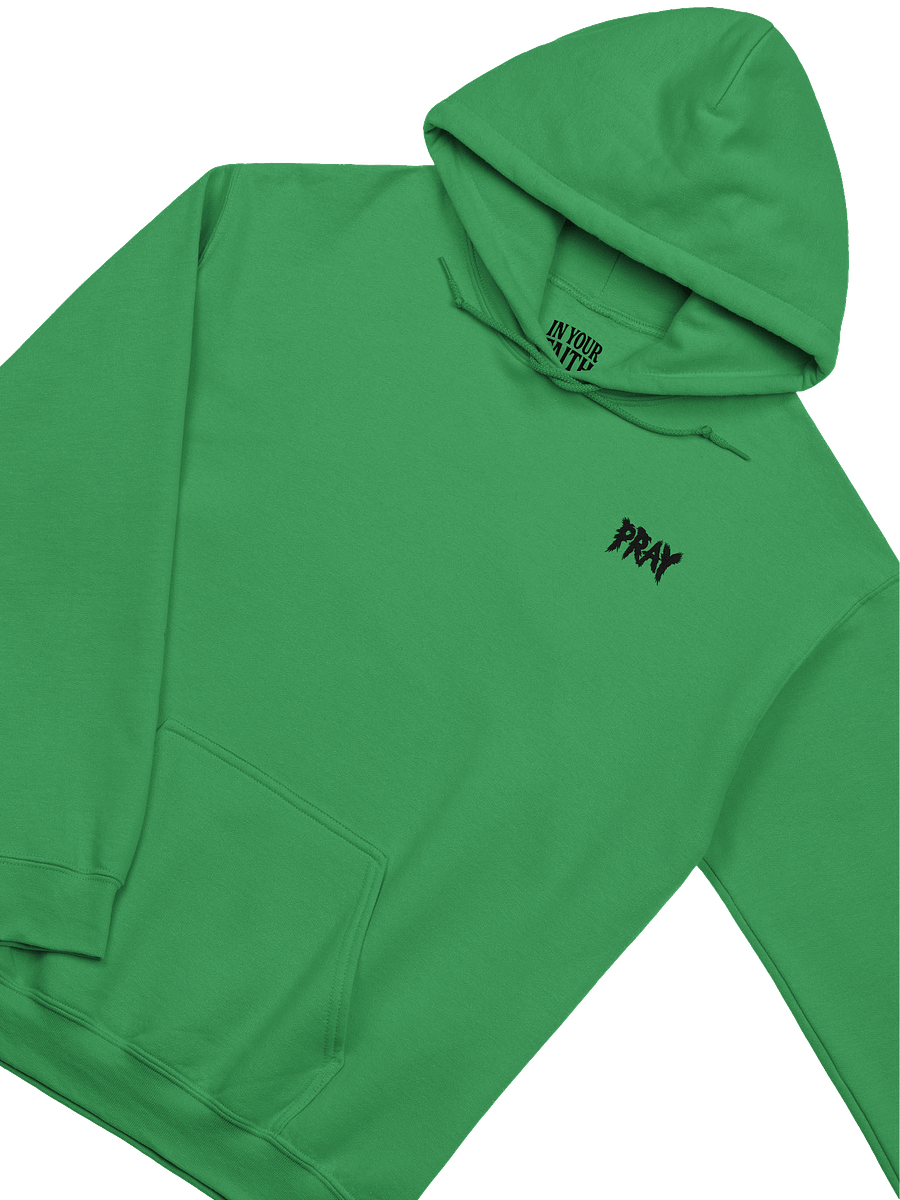 Birds Of Pray Hoodie product image (2)