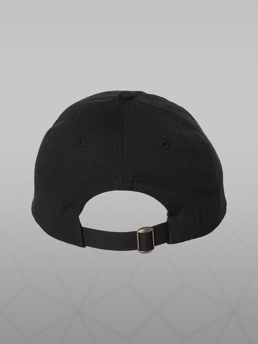 Good Friends Bad Choices Dad Hat product image (4)