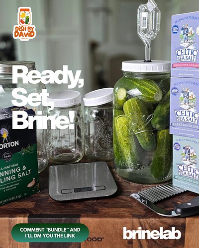 A jar, salt, water, veggies — and you’ve got a living food in the making.

👉 Comment 'Bundle' and I'll DM you my guide.

#Fer...