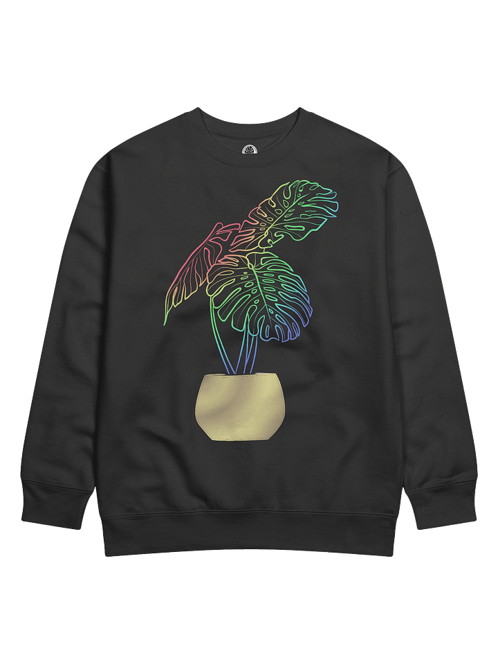Rainbow Monstera product image (1)