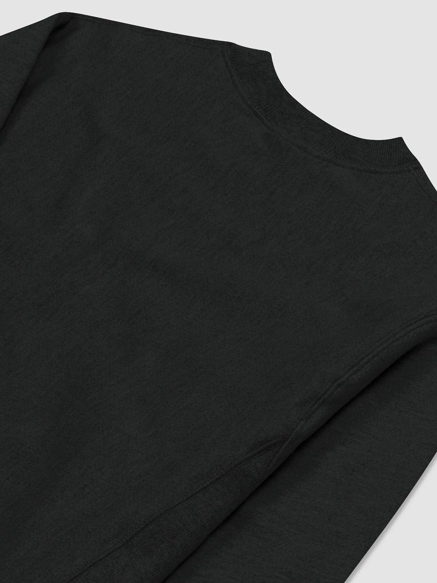 Falco Sweatshirt product image (4)