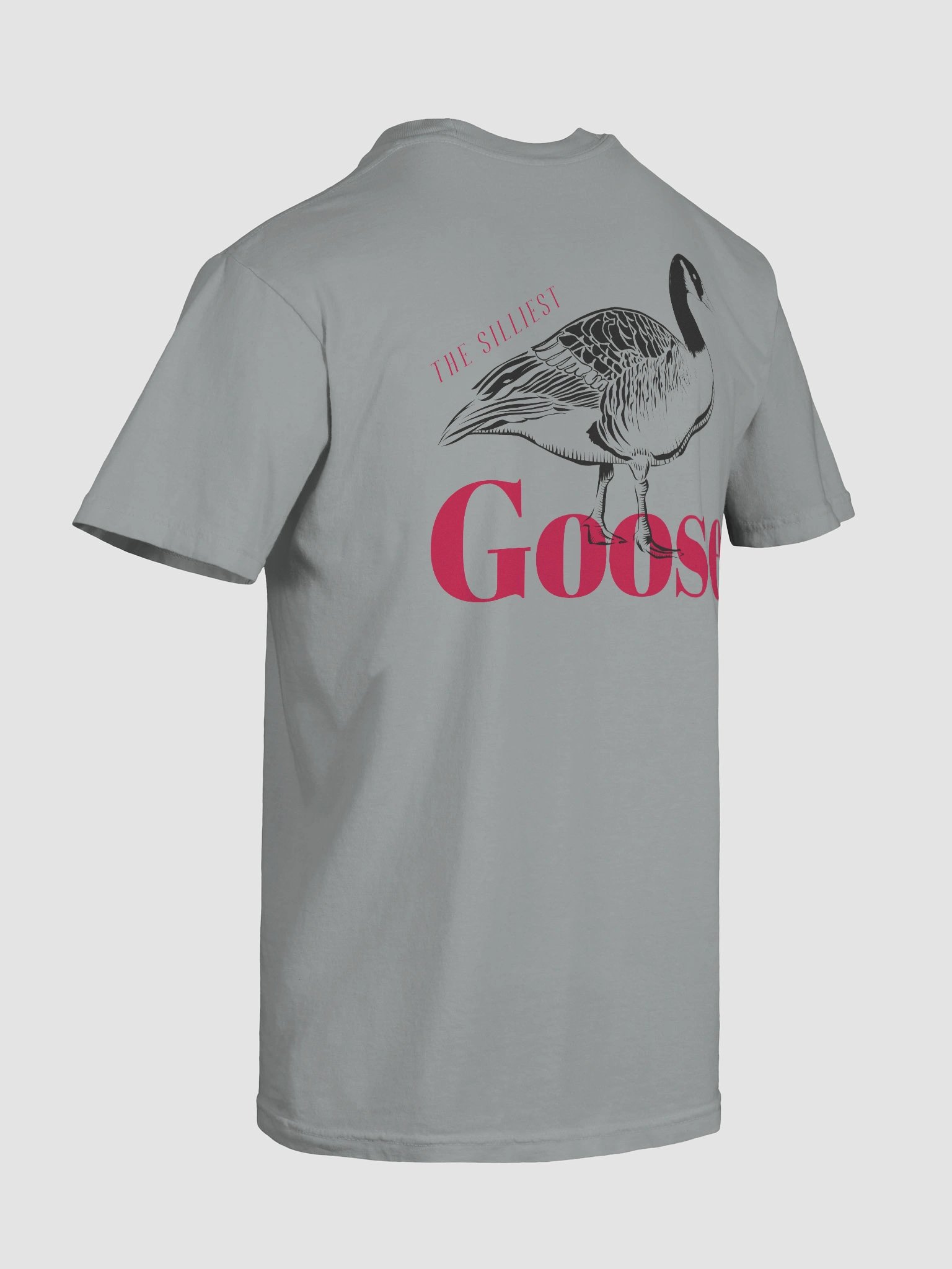The Silliest Goose product image (10)