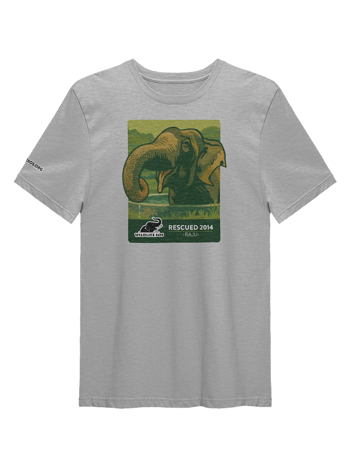 Raju - Rescued 2014! product image (4)