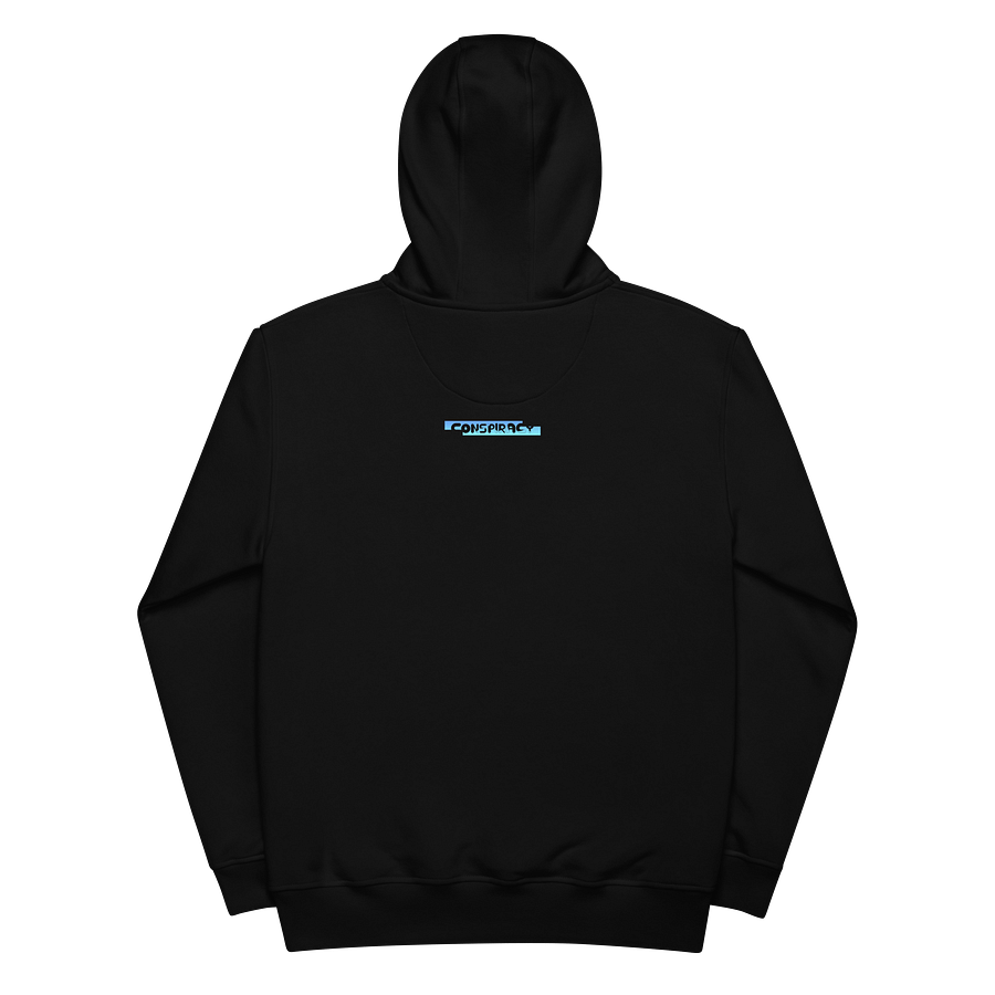 Conspiracy Hoodie product image (5)