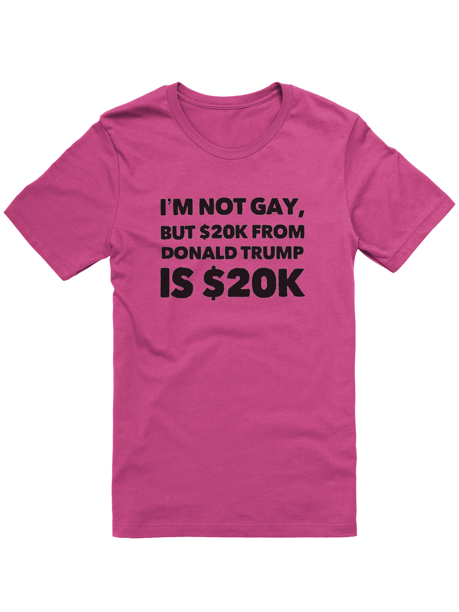 Not Gay $20K Tee Shirt product image (1)
