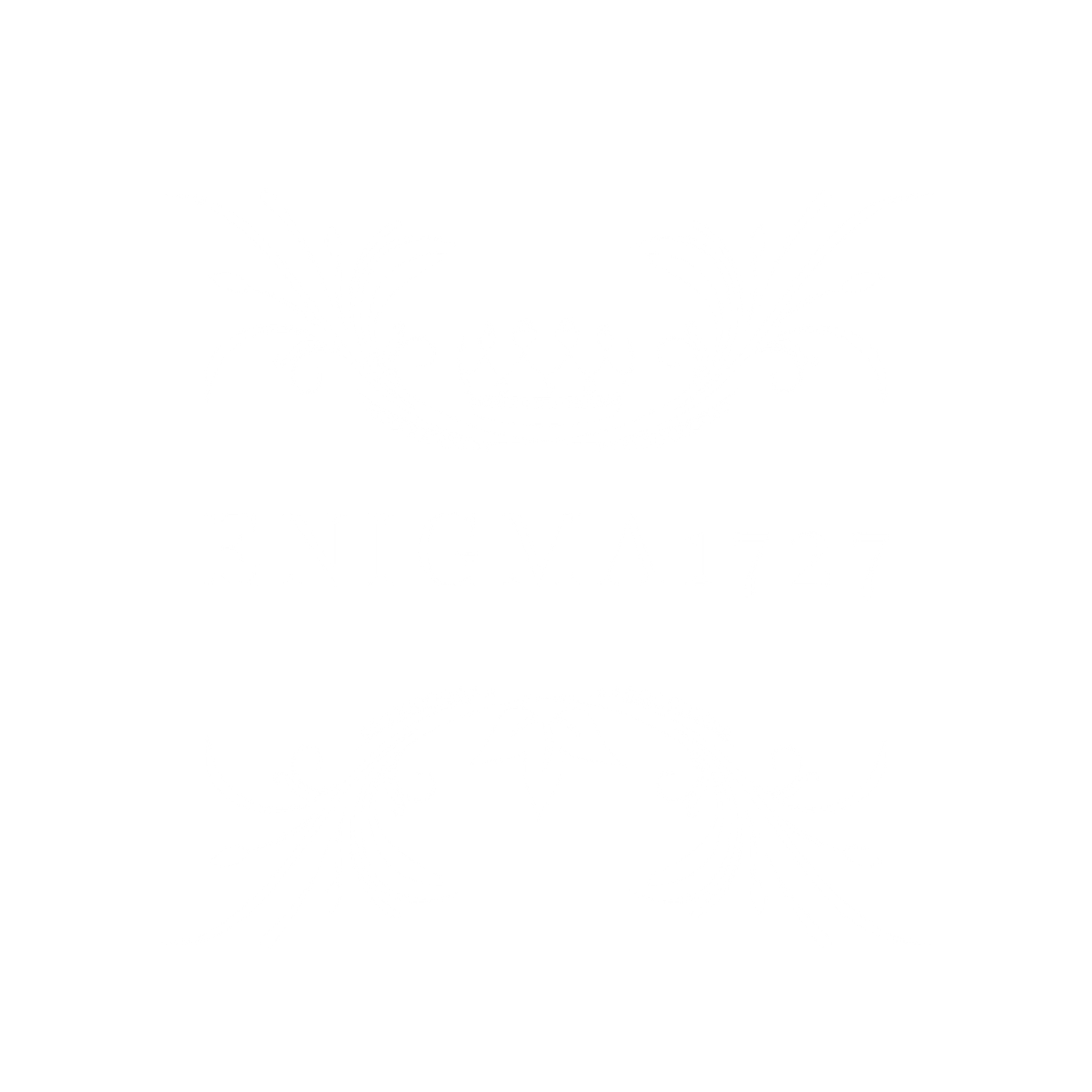 https://cdn.fourthwall.com/sr-creators/resources/2b86ff71-b0c7-4dbc-893c-47abc45d8a01/b0d232f209bdbbd8334a22a3823f5eec_72bcb1bebfe2.png