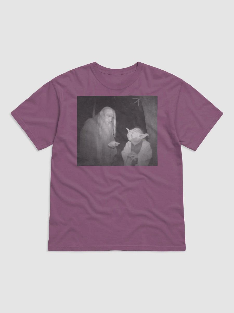 LOTR two wizards product image (4)