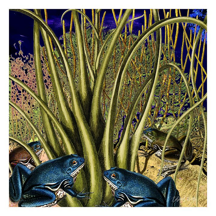 Blue Gathering product image (1)