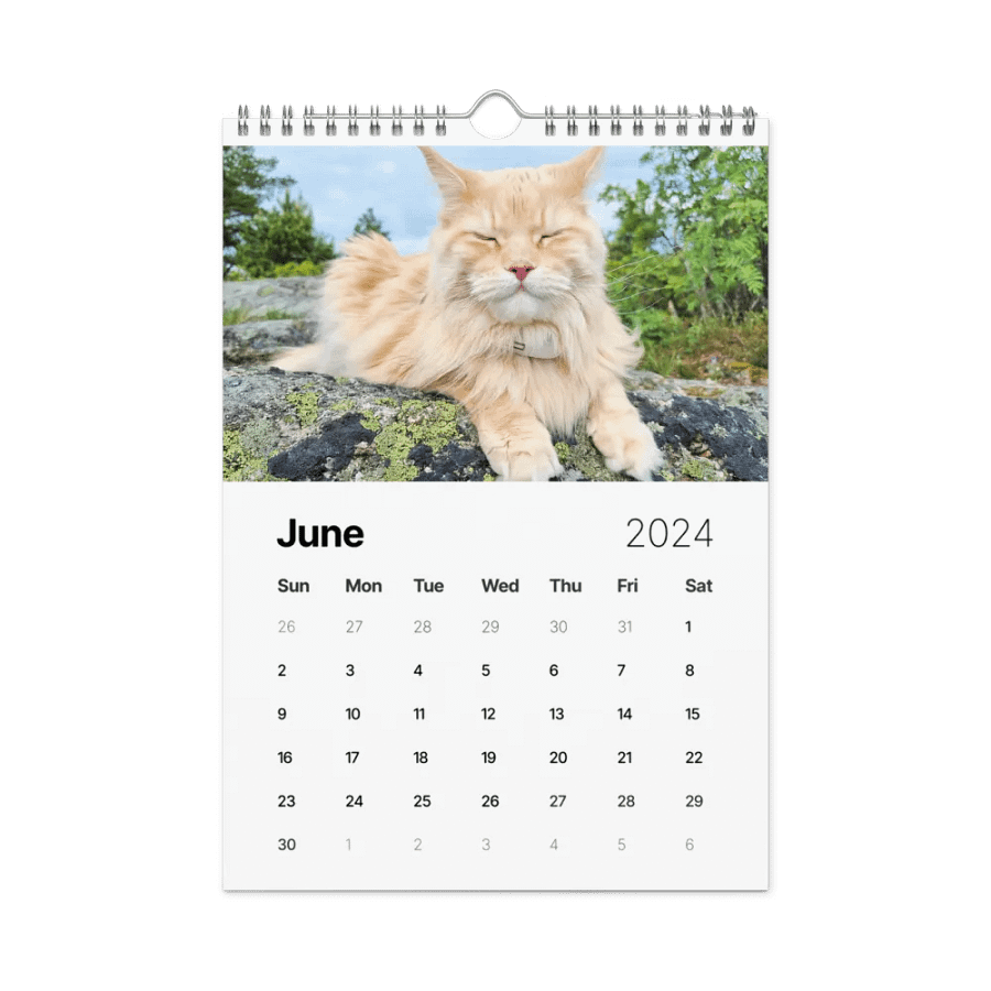 2024 Calendar - Adventures with Maine Coons product image (12)
